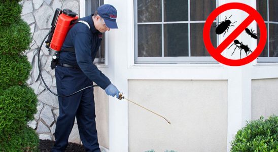Nallıhan Gümüşkurt İlaçlama böcek ilaçlama ve haşere kontrolü — ilaclama-tr.com